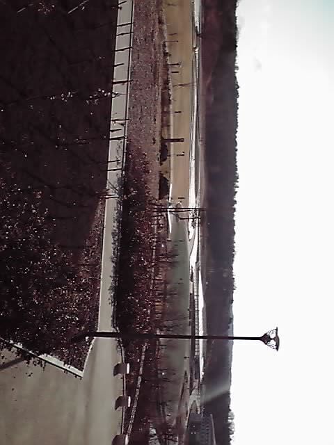 11-01-23_005.jpg
