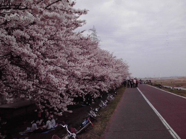 11-04-10_001.jpg