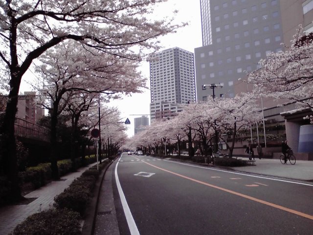 11-04-10_002.jpg