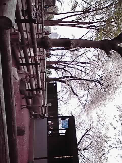 11-04-10_004.jpg