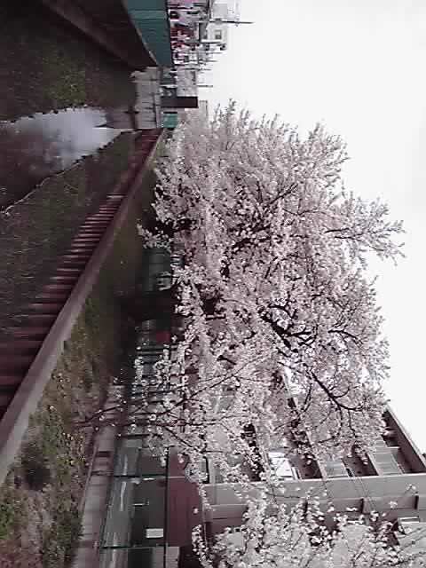11-04-10_007.jpg