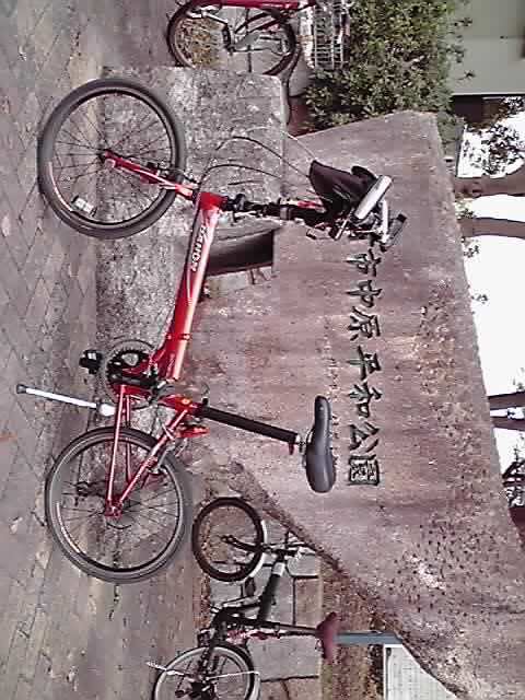 11-04-10_008.jpg