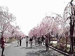 13-03-30_001.jpg