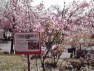 13-03-30_005.jpg