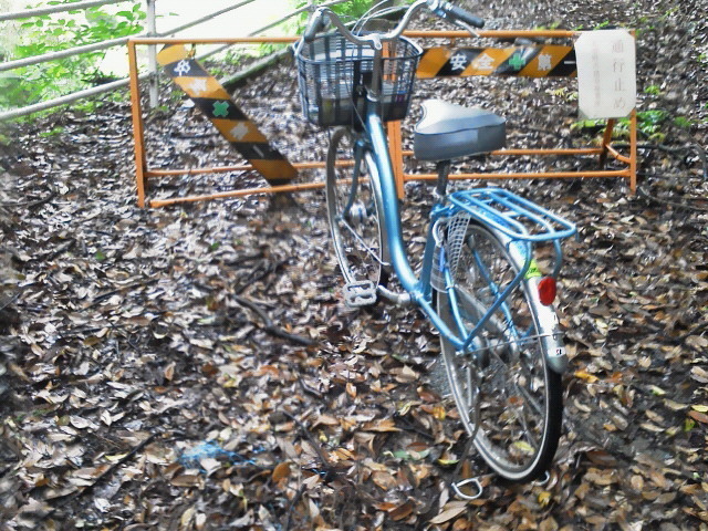 201306151214000.jpg