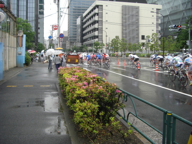 CIMG2101.JPG