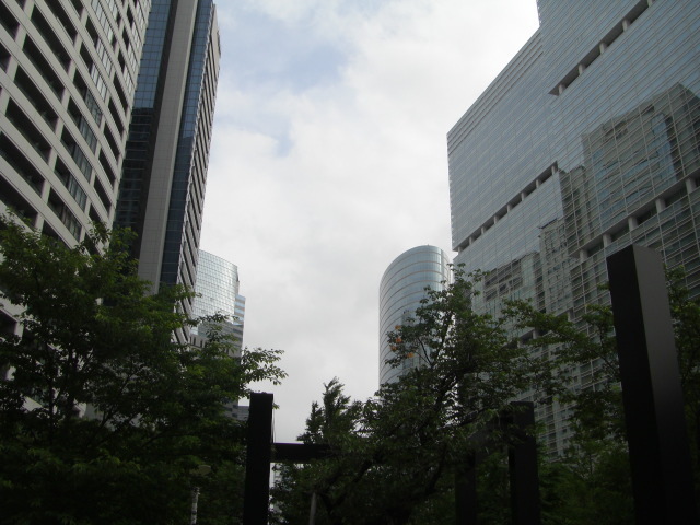 CIMG2136.JPG