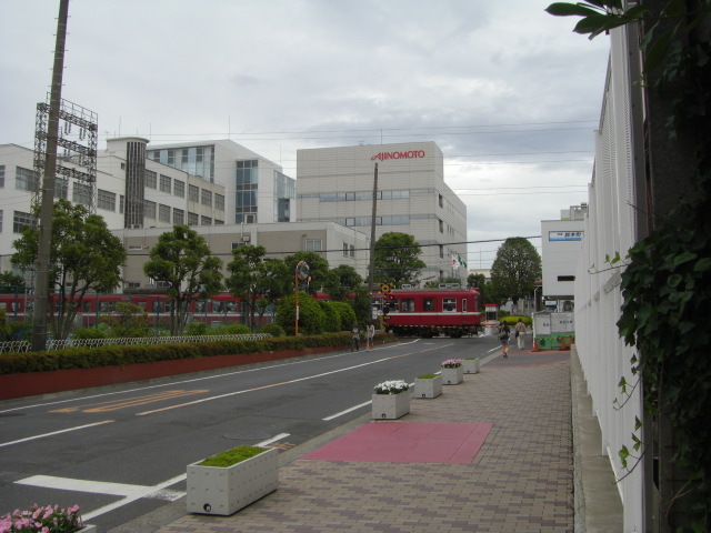 CIMG2190.JPG