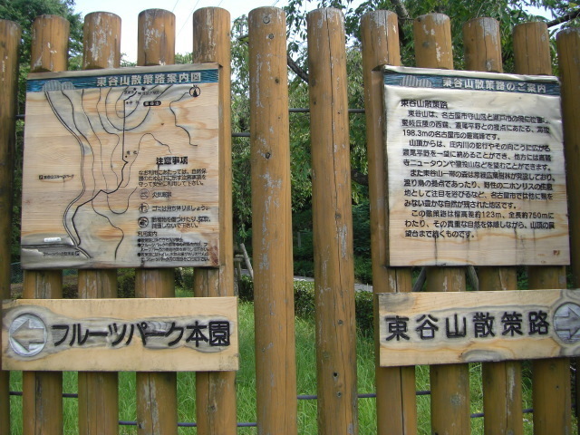 CIMG2256.JPG