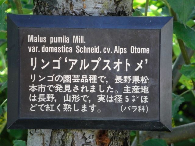 CIMG2260.JPG
