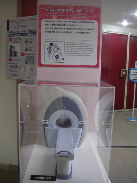 CIMG2278.JPG