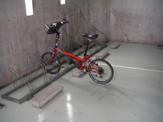 CIMG2446.JPG