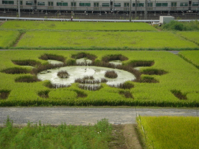 CIMG2465.JPG