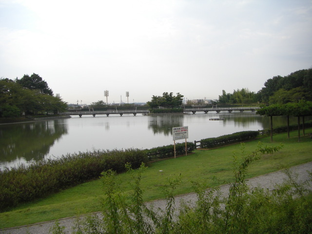 CIMG2468.JPG