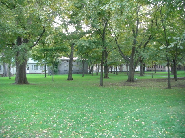 CIMG2485.JPG