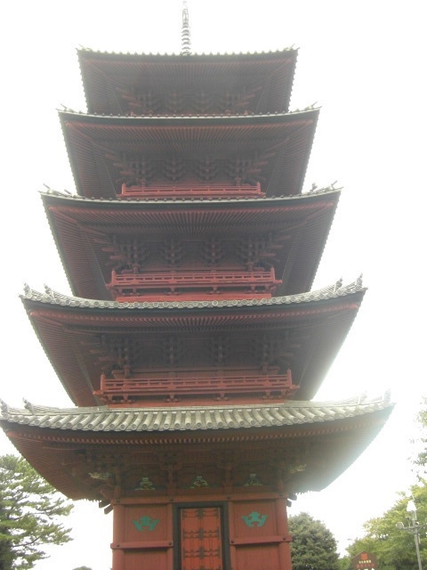 CIMG2531.JPG