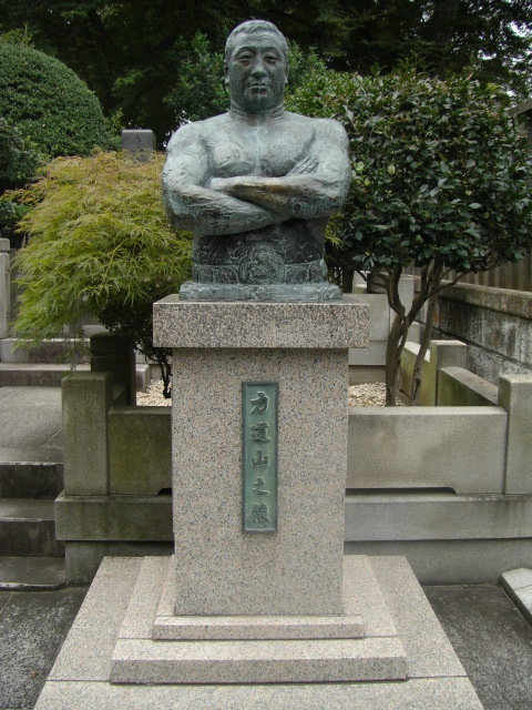 CIMG2532.JPG