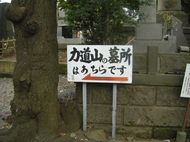 CIMG2534.JPG