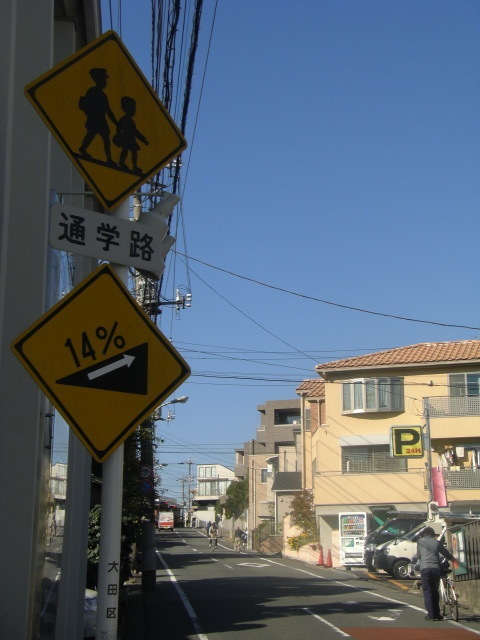 CIMG2567.JPG