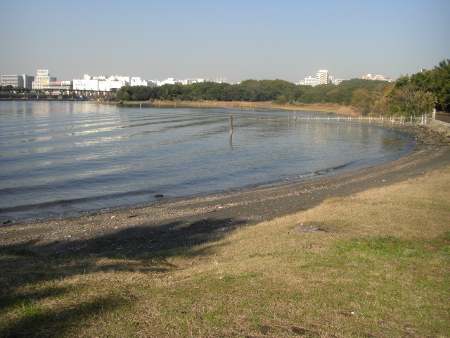 CIMG2599.JPG