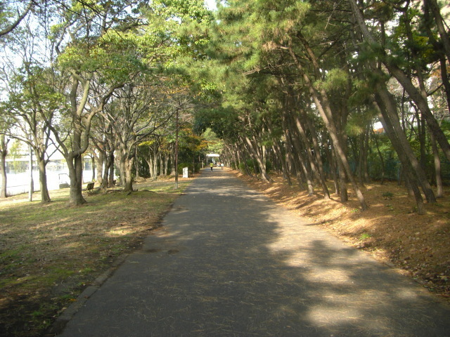 CIMG2603.JPG
