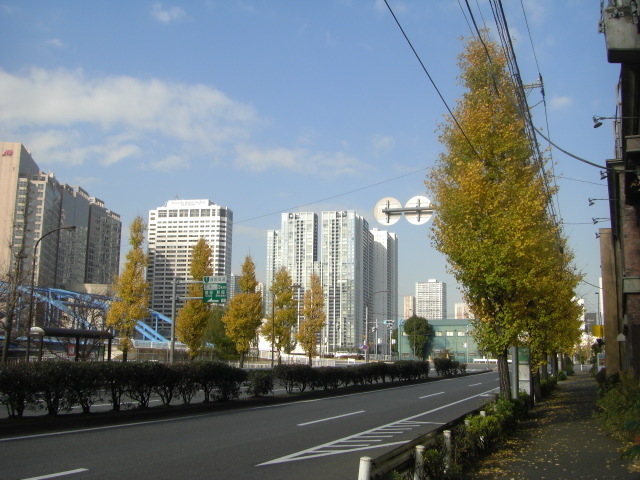 CIMG2608.JPG