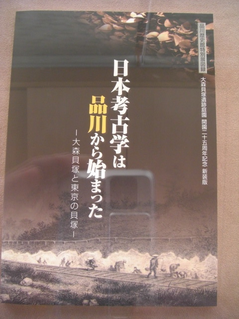 CIMG2675.JPG