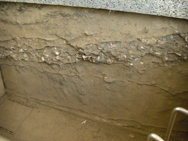 CIMG2686.JPG