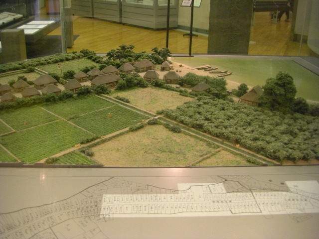 CIMG2705.JPG