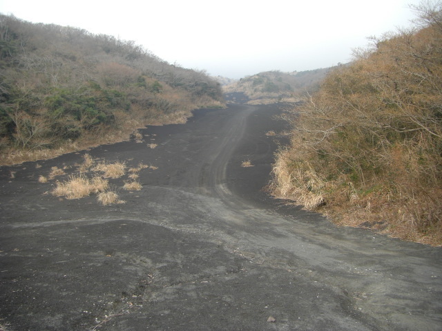 CIMG2745.JPG