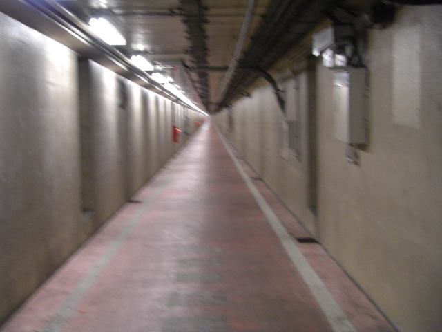 CIMG2878.JPG