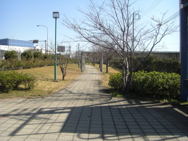 CIMG2879.JPG