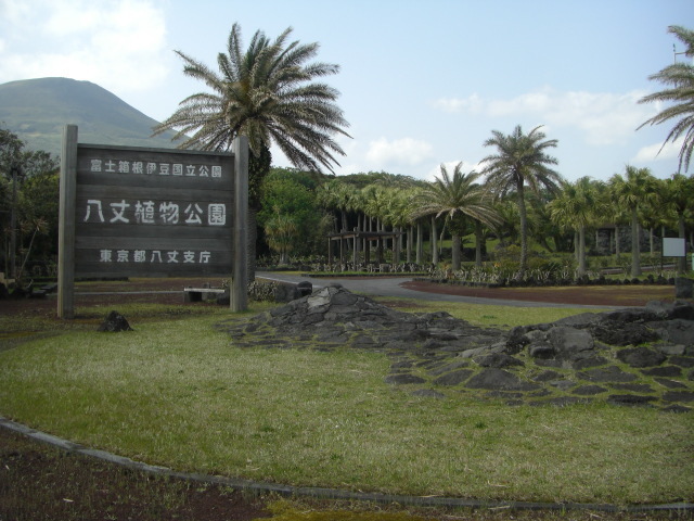 CIMG2931.JPG
