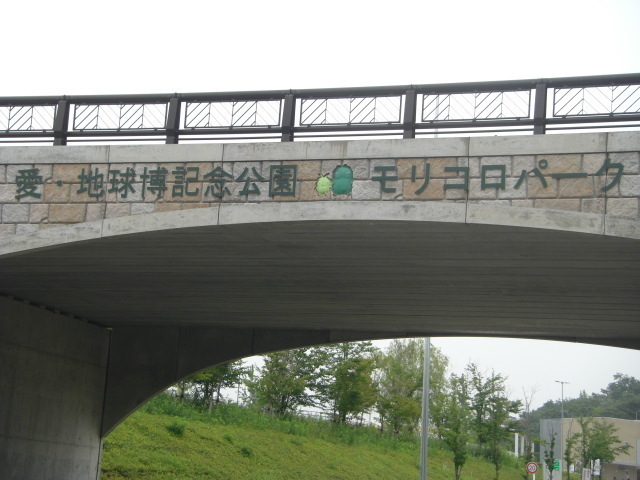CIMG3089.JPG