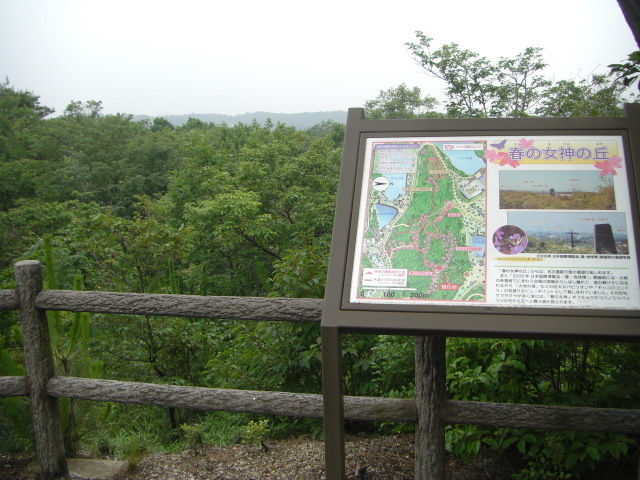 CIMG3096.JPG