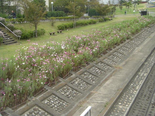 CIMG3174.JPG