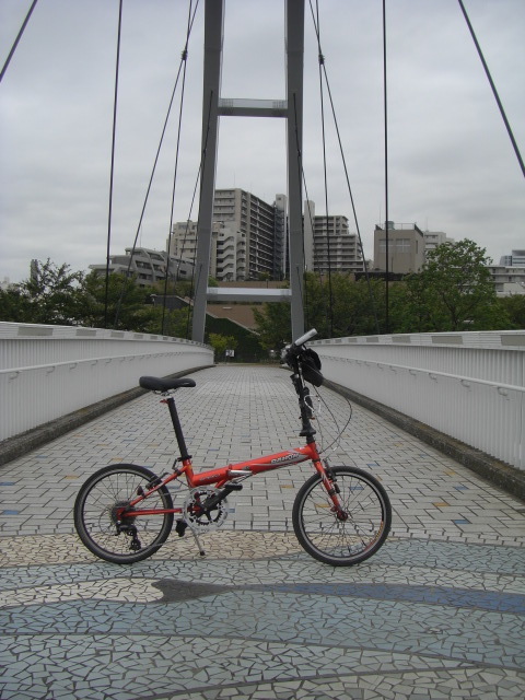 CIMG3184.JPG