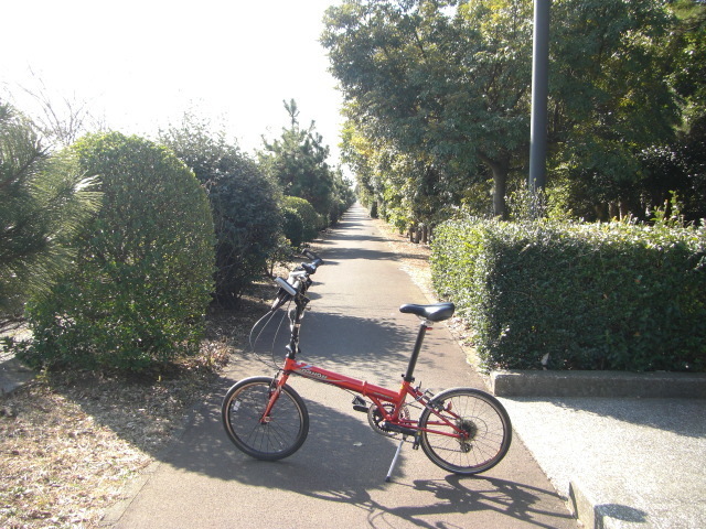 CIMG3348.JPG