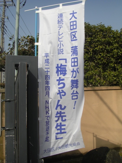 CIMG3395.JPG