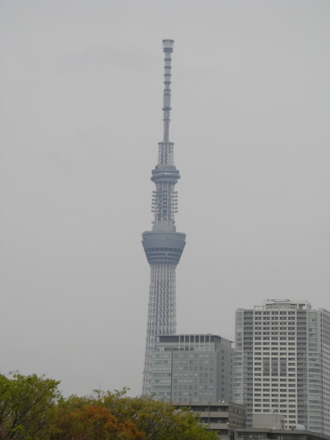 CIMG3437.JPG