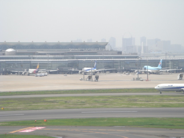 CIMG3468.JPG