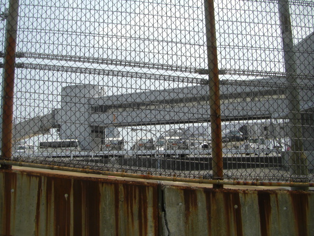 CIMG3471.JPG