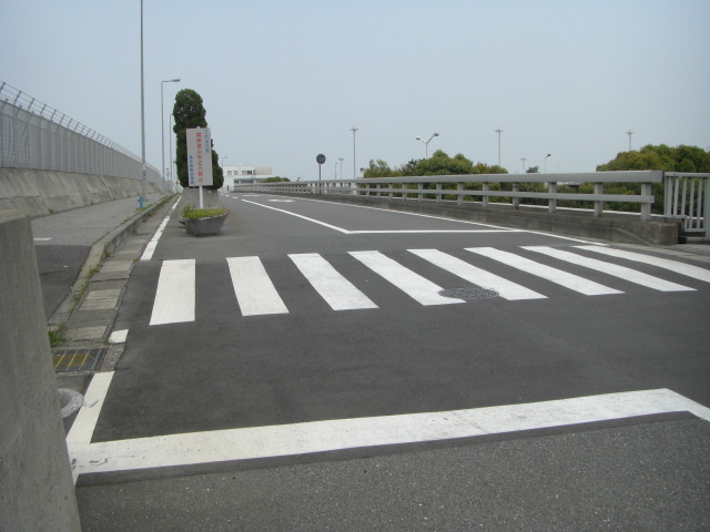CIMG3473.JPG