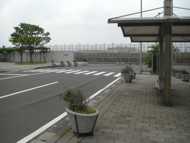 CIMG3475.JPG