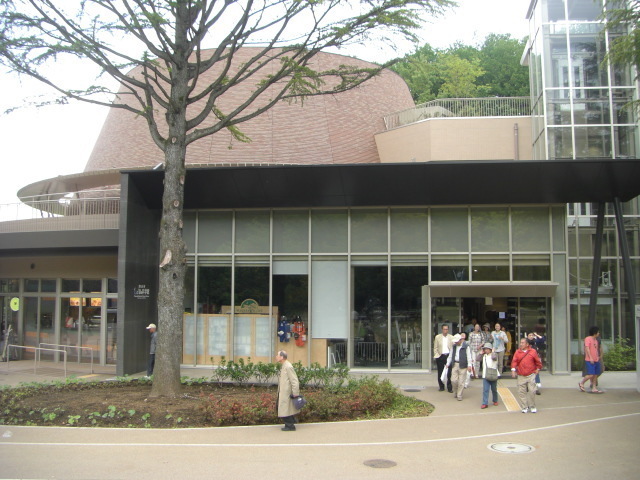 CIMG3502.JPG