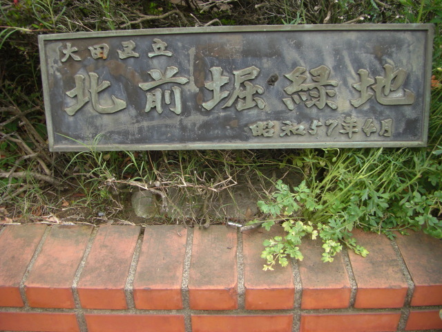 CIMG3504.JPG
