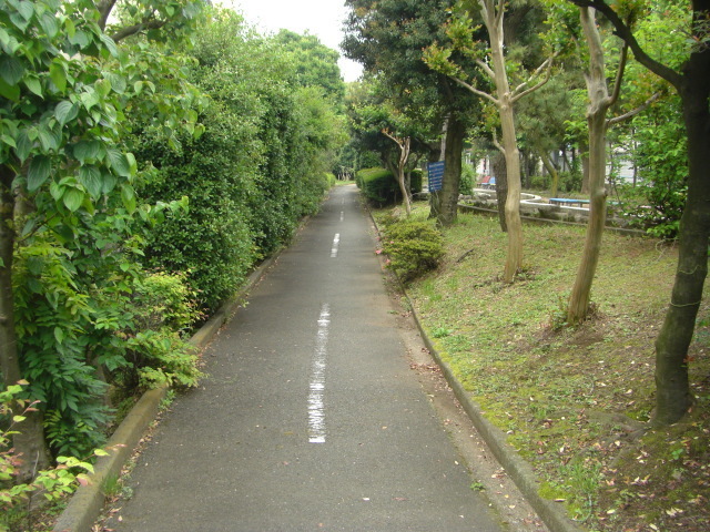 CIMG3506.JPG