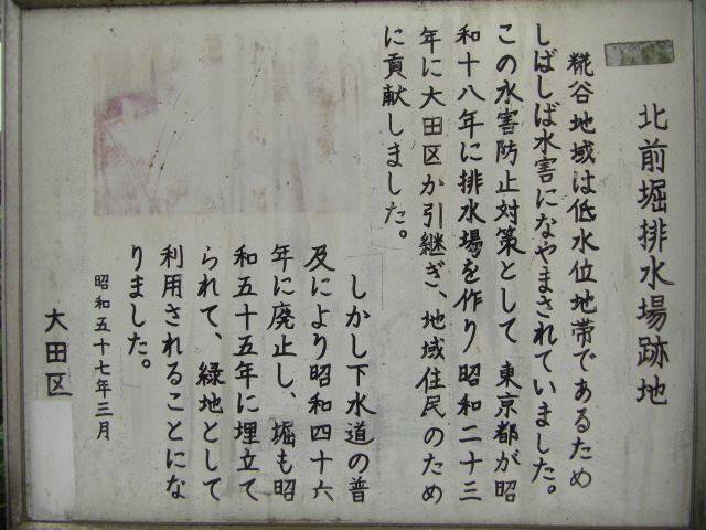 CIMG3512.JPG