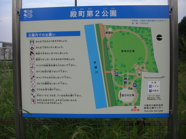 CIMG3623.JPG