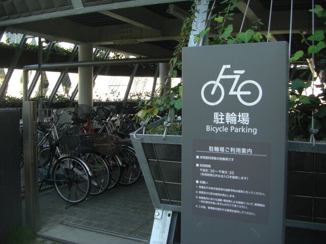 CIMG3800.JPG